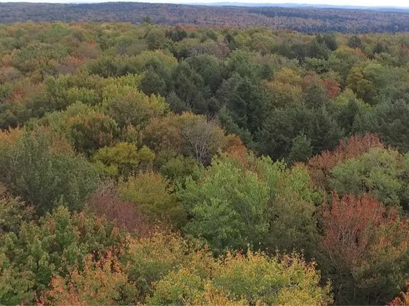 LOT 17 Hammerle Rd, Oxford, NY 13830