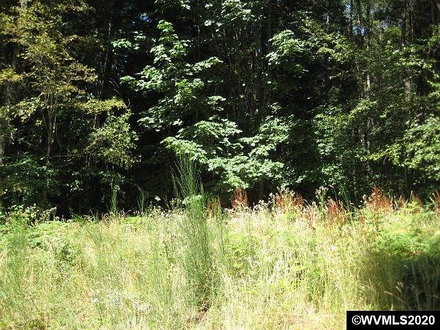 1st image of 110 Guy Moore Dr Lot 2