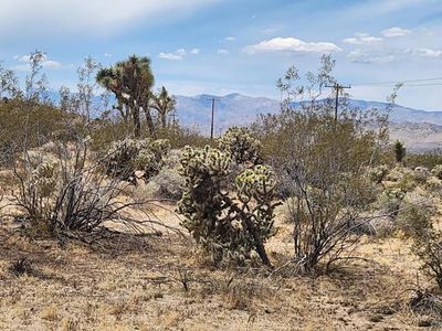 0 Olympic Rd, Joshua Tree, CA, 92252