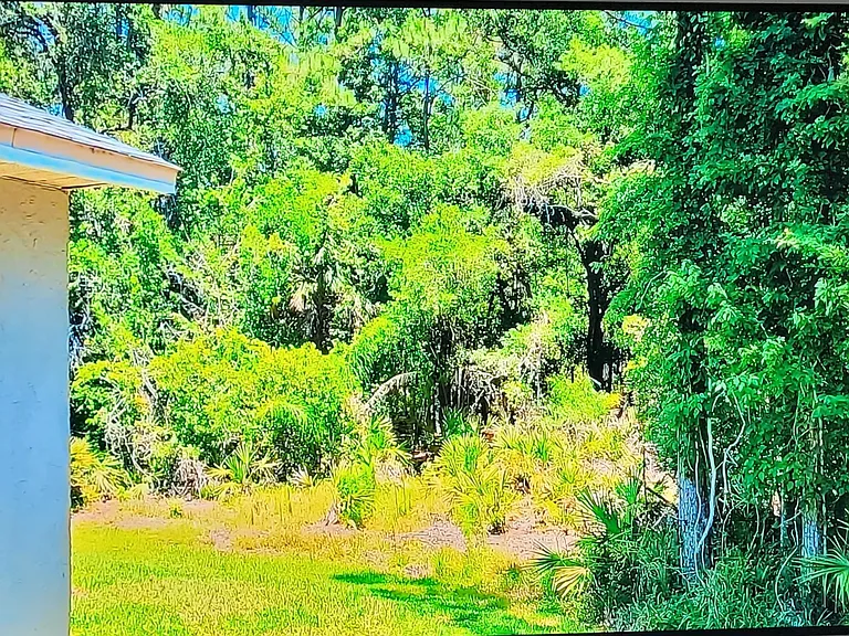 Conservation area