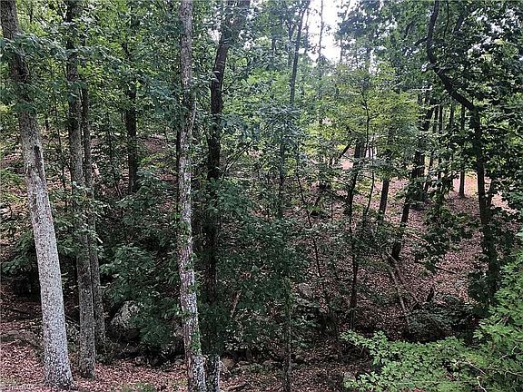 4th image of 1336 Rocky Cove Ln