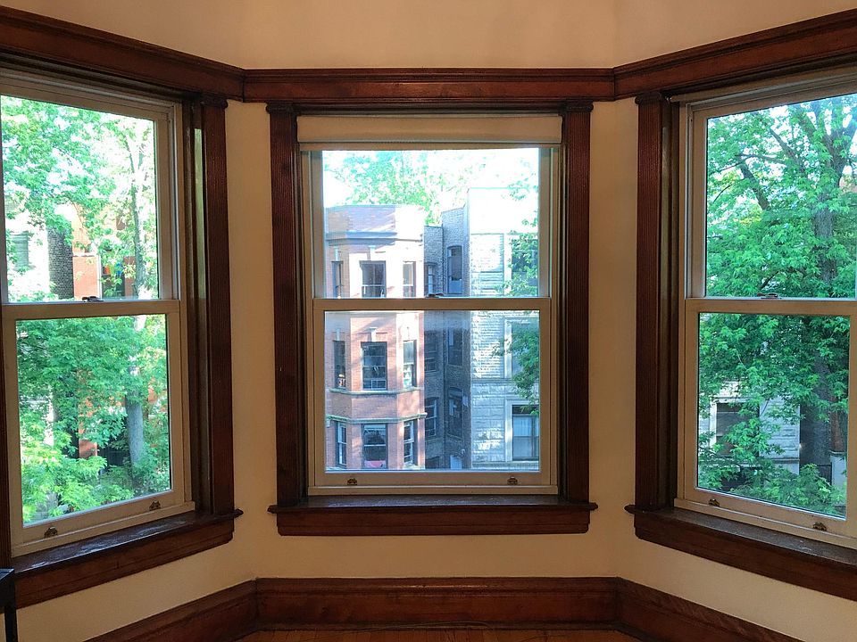 Front livingroom windows, looking into trees