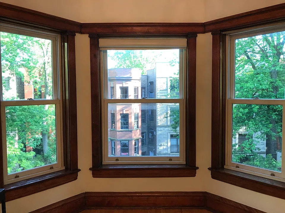 Front livingroom windows, looking into trees
