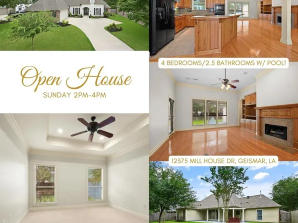 12375 Mill House Dr, Geismar, LA 70734
