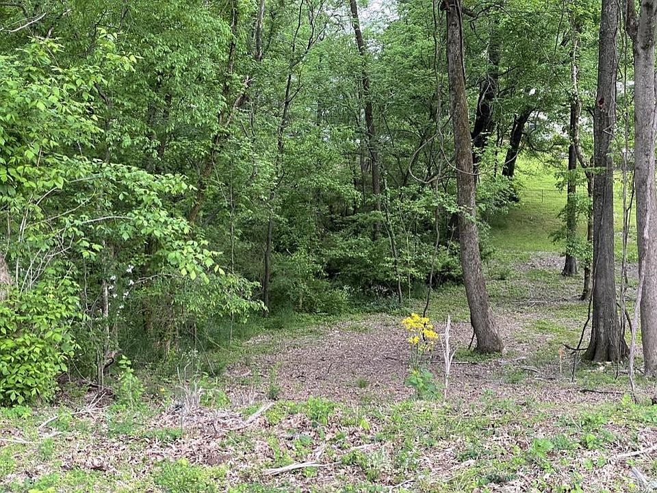 1st image of 0 Tinsley Ln Lot 13