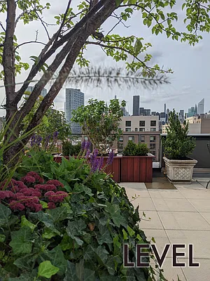 Rented by Level Group | media 9