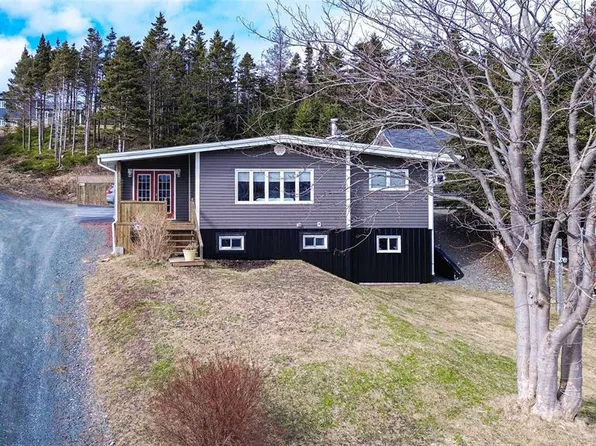 88 Main Road, Lewins Cove, NL A0E2G0