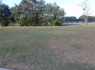 182 Laynewade Rd, Polk City, FL 33868