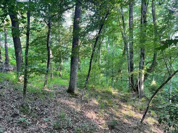 106B Calico Ct, Alberta, AL 36720