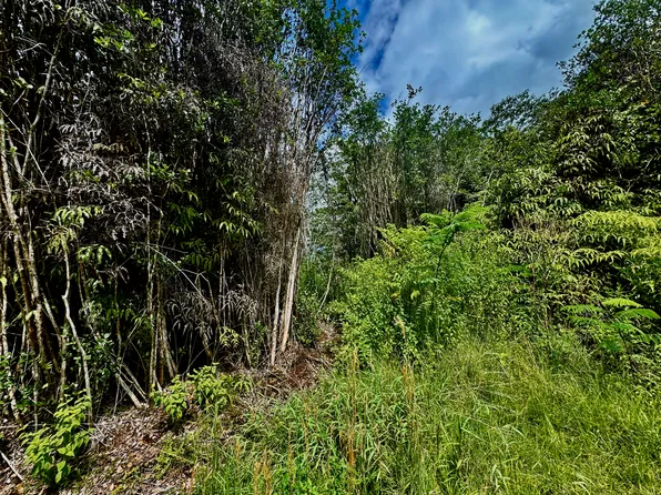 16-1573 Ao Rd Lot 2895, Kurtistown, HI 96760