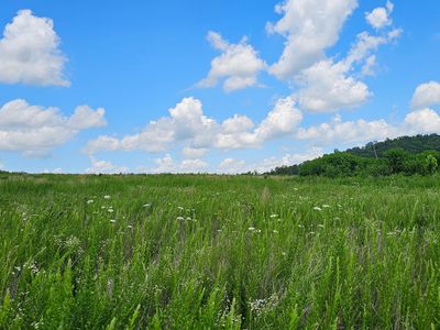 000 County Road Ac-350, Dora, MO, 65637