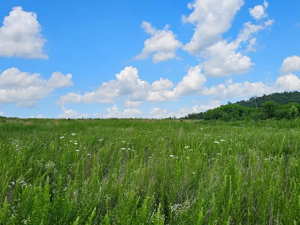 000 County Road Ac-350, Dora, MO 65637