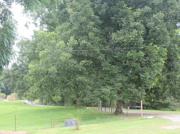 View of driveway from porch