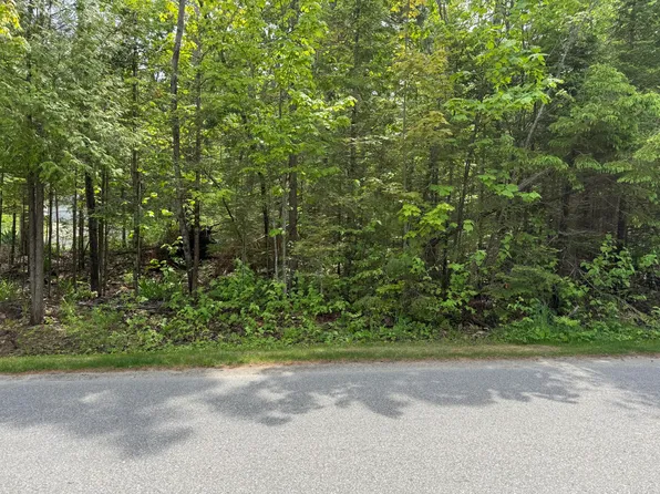 8340 Cordwood Trl, Cheboygan, MI 49721