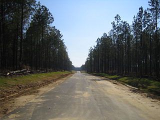 1st image of 509 Lee Road 483 Lot 43