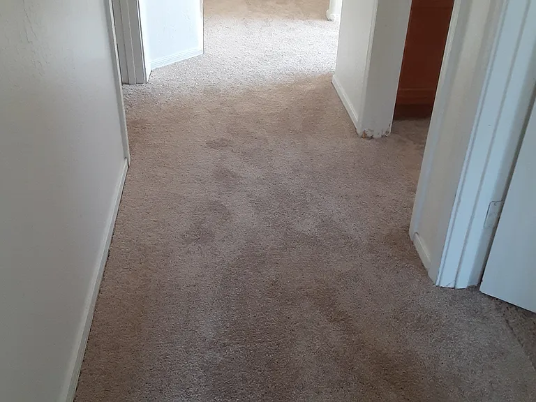 brand new carpet /upstairs hallway