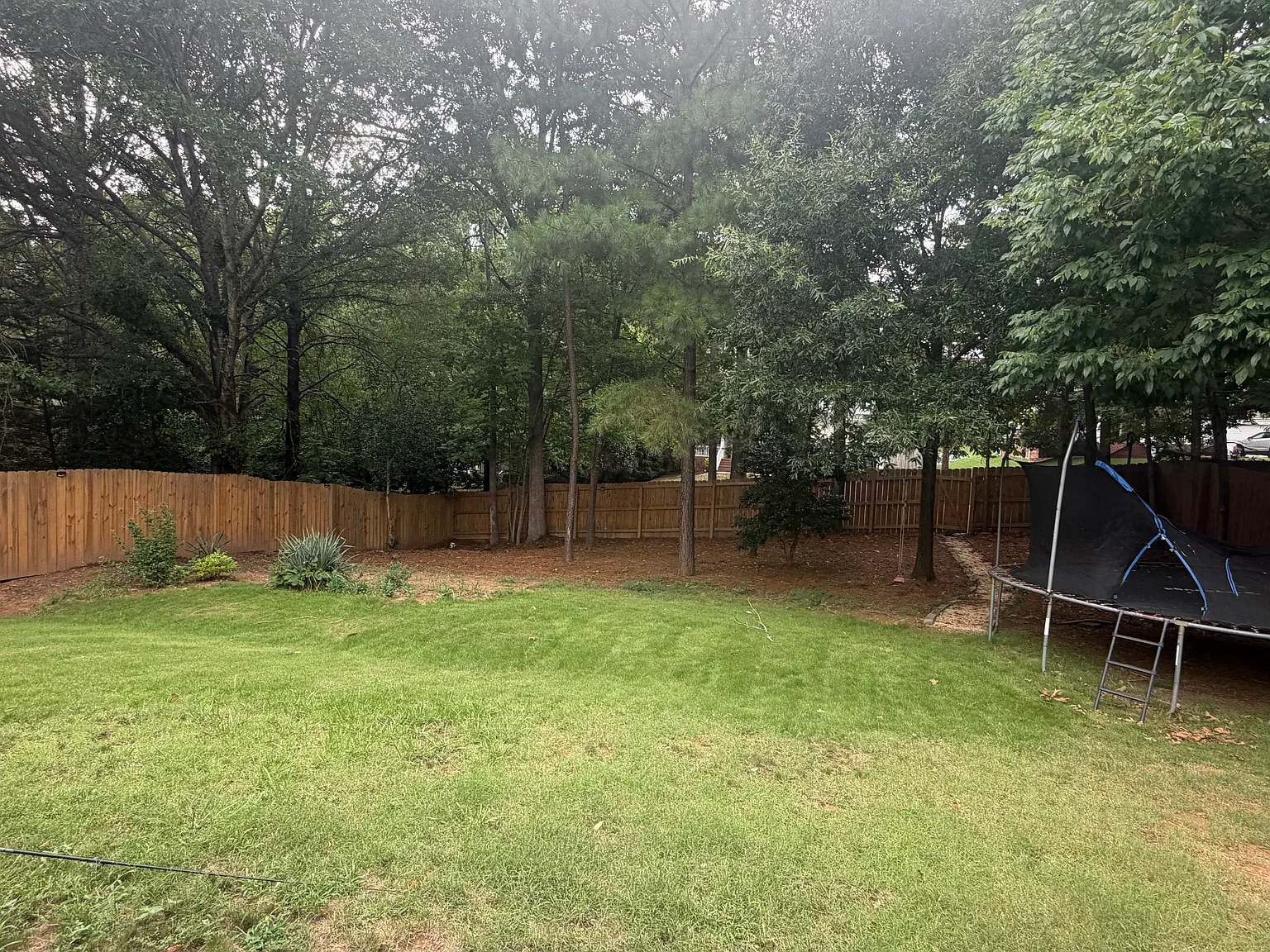 4 bed, 2197 sqft, $2,650 — Photo 2