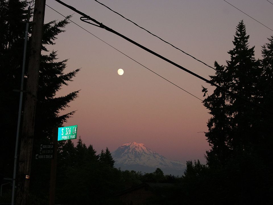 mt. Ranier view