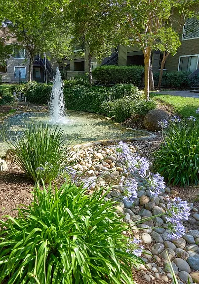 Monte Vista Apartments — Photo 21