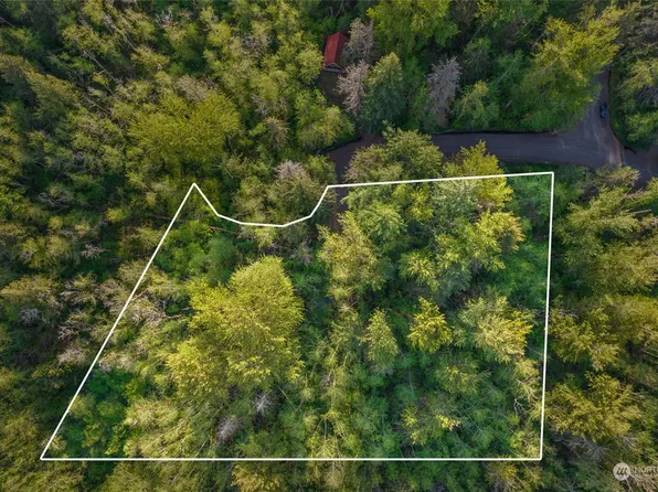 0 Fairway Drive, Eatonville, WA 98328