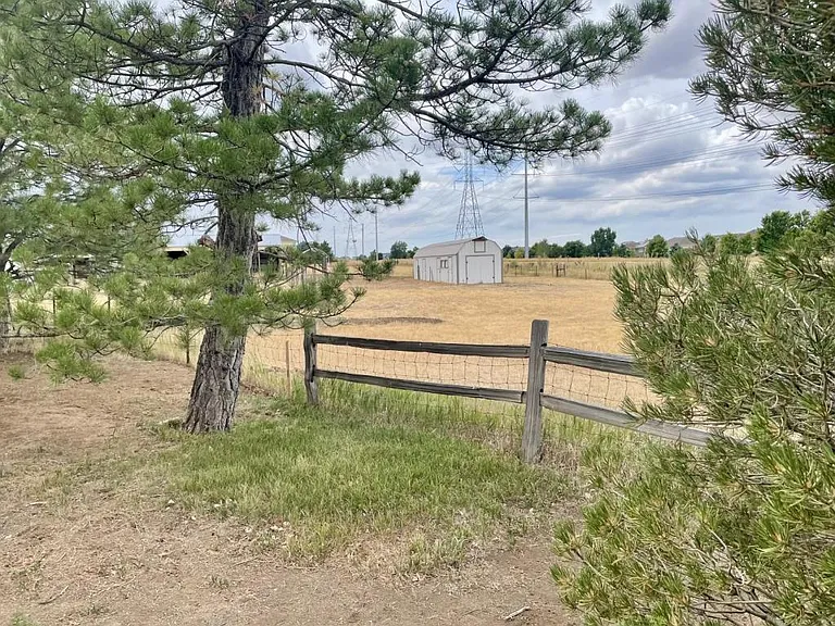 9949 Tammy Ln — Photo 3