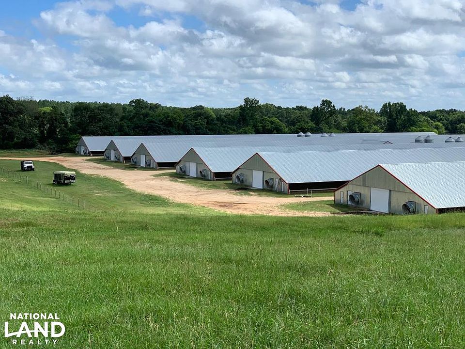 Chicken Houses 55 X 500