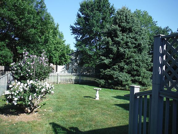 Beautiful back yard