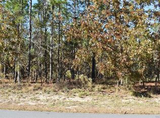 14 Boxleaf Ct, Homosassa, FL 34446