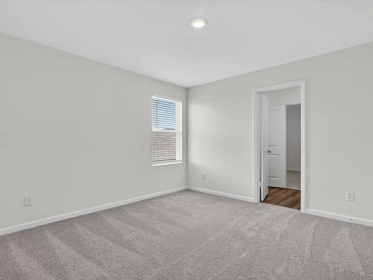 1257 Herring — Photo 25