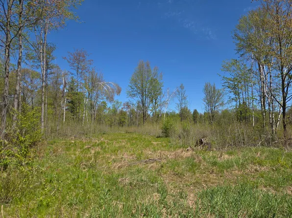 W Central Ave #20ACRES, Brantwood, WI 54513