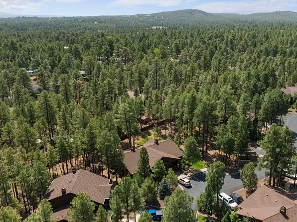 491 Spirea Ln, Show Low, AZ 85901