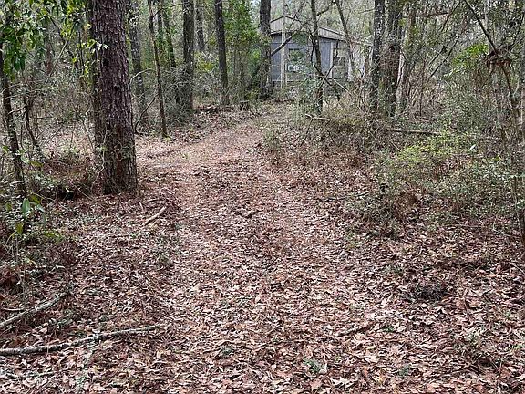 3rd image of 23 Emily Ln