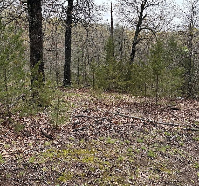 2nd image of Lakewood Dr #9