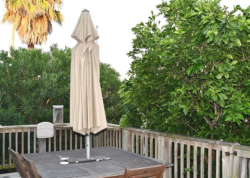 Large Front Porch has a View of the Seawall and is Less than a Block from the Beach. Room for Grilling and Dining Al Fresco! Copious Vegetation for Privacy includes Producing Citrus and Plumeria Trees, in addition to Other Plants