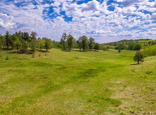 836 Deerview Dr, Florissant, CO 80816