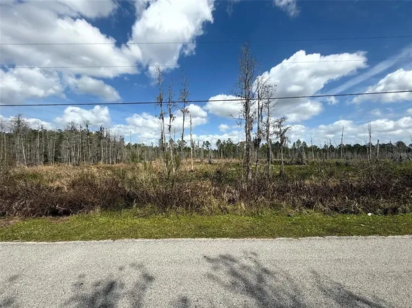 Green Willow Run #7450, Wesley Chapel, FL 33544