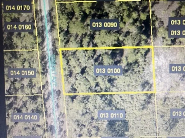 2104 Grant Ave, Alva, FL 33920