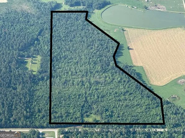 Highway 46 E, Metter, GA 30439