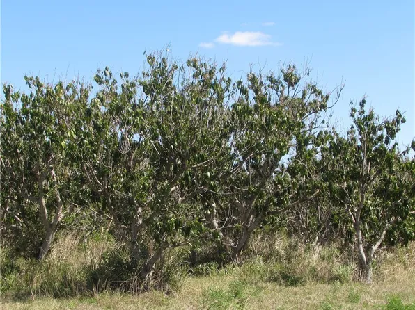 13171 Samadani Ln, Bokeelia, FL 33922