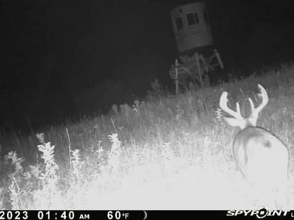 370th Ave, Cyrus, MN 56323