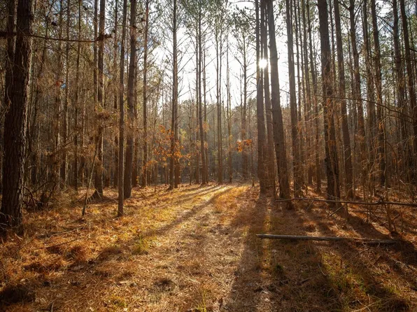 McClelland Cemetary Rd, Sturgis, MS 39769