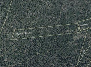 0 Silver Dollar Ldg, Georgetown, CO 80444