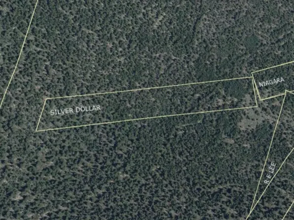 000 Silver Dollar Lode, Georgetown, CO 80444