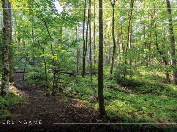 63B Big Pine Road, Sapphire, NC 28774