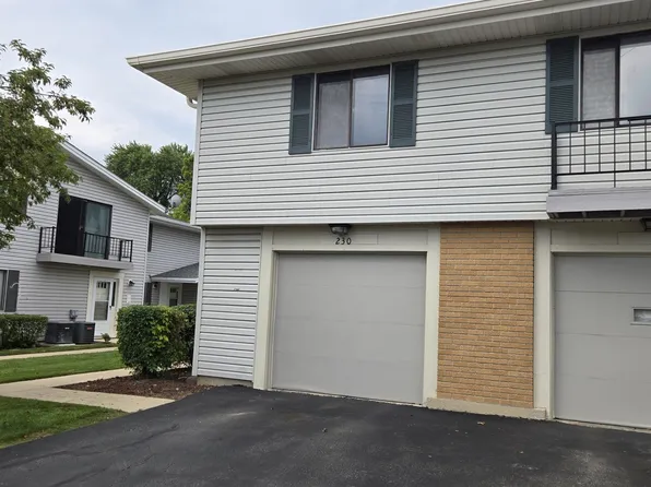 230 Patuxet Ct #230, Schaumburg, IL 60194