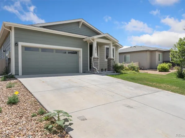 3835 River Birch Street, Wellington, CO 80549