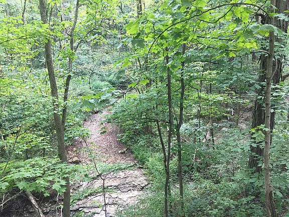 hill overlooking creek