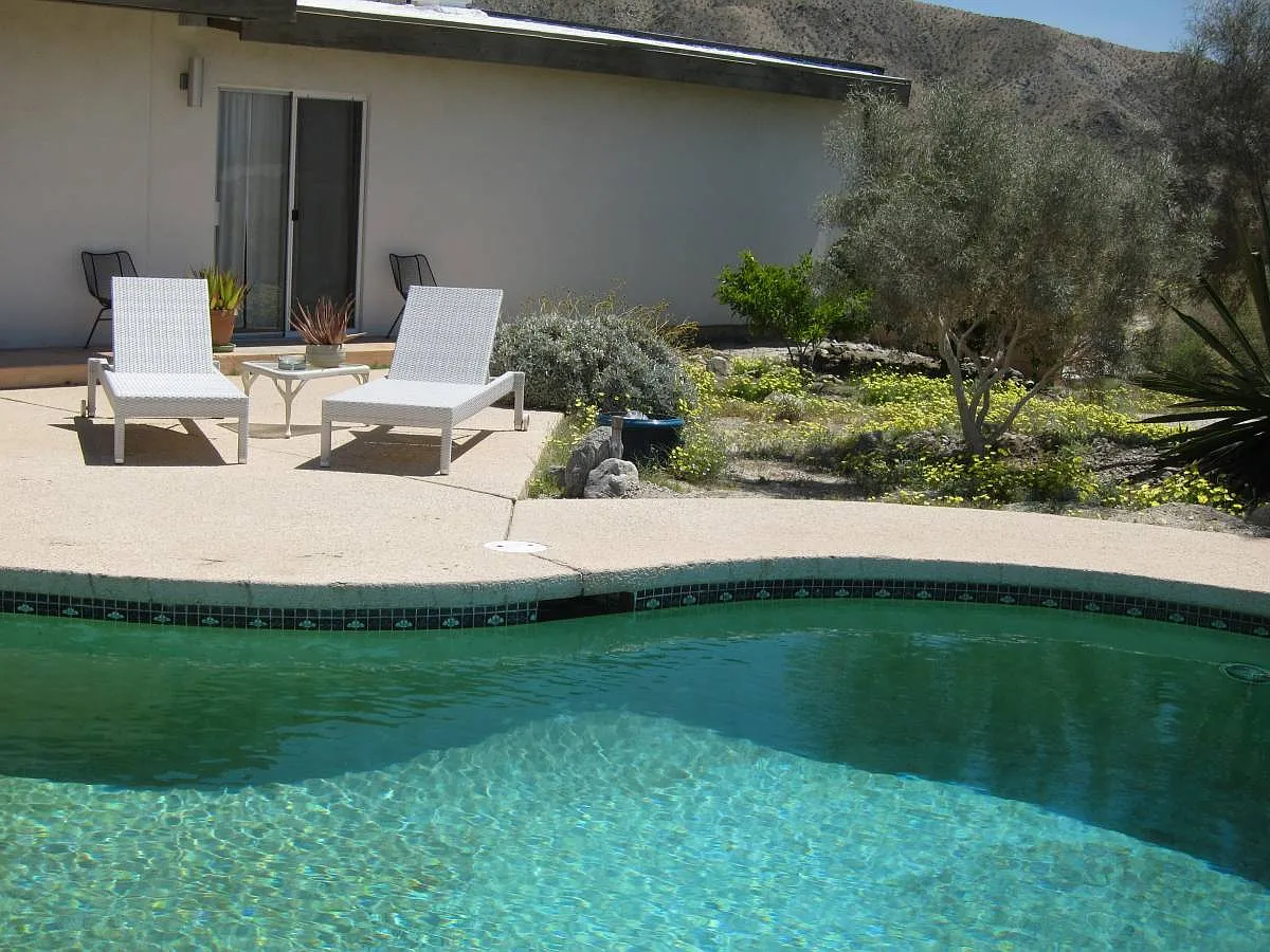 1 bed, 650 sqft, $1,750 — Photo 3