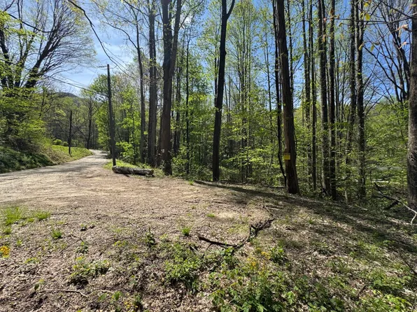 Browning Branch Rd, Waynesville, NC 28786