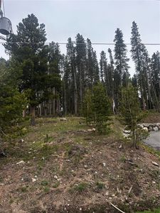 American Way, Breckenridge, CO, 80424